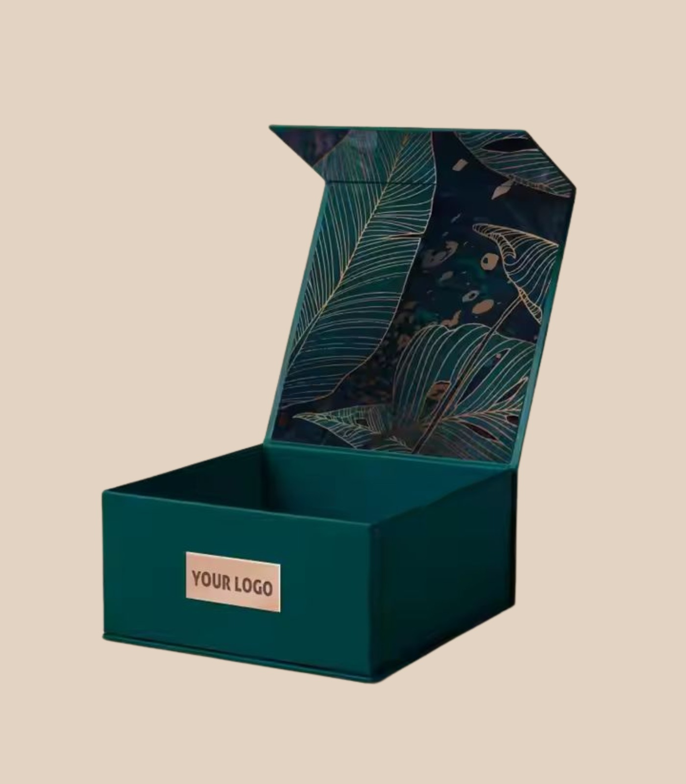 WhatsApp Image 2025-12-05 at 9.21.01 PM