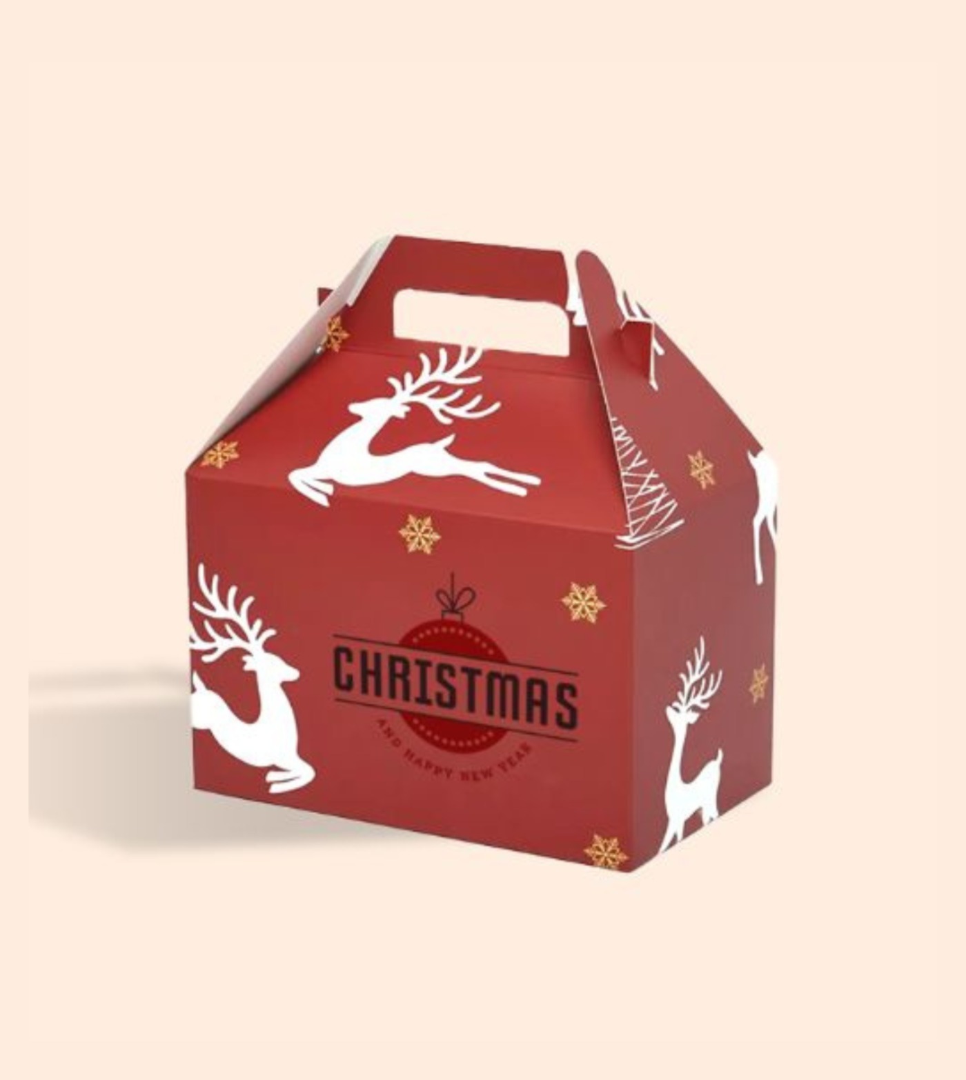 WhatsApp Image 2025-12-05 at 9.59.32 PM